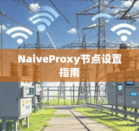 NaiveProxy节点设置指南 NaiveProxy节点设置指南