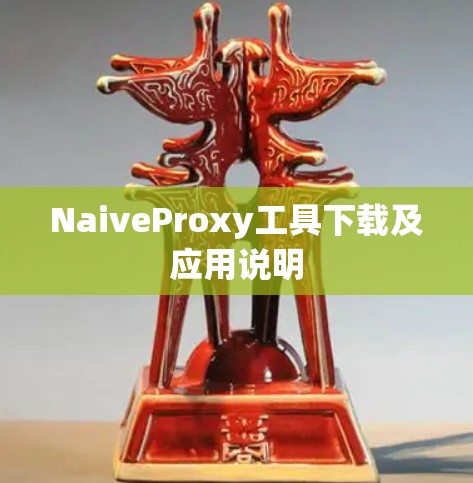 NaiveProxy工具下载及应用说明