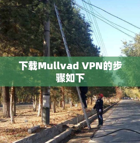 下载Mullvad VPN的步骤如下 下载Mullvad VPN的步骤如下