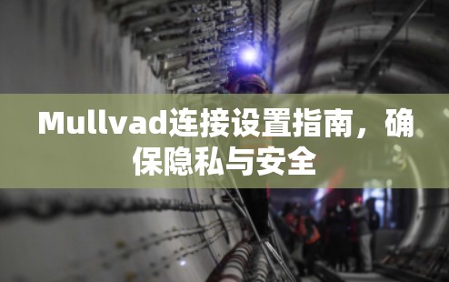 Mullvad连接设置指南,确保隐私与安全 Mullvad连接设置指南,确保隐私与安全