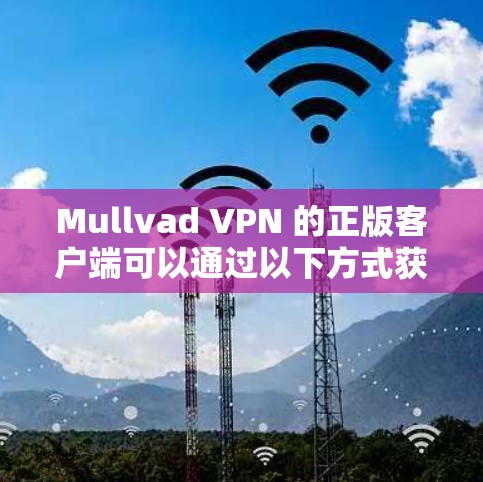 Mullvad VPN 的正版客户端可以通过以下方式获取