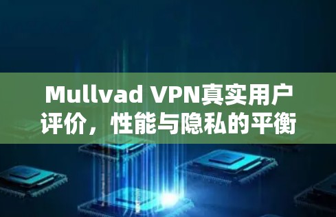Mullvad VPN真实用户评价，性能与隐私的平衡