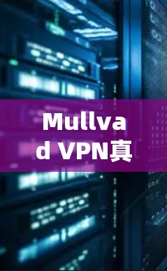 Mullvad VPN真实速度体验测试,速度、稳定性、适用场景分析 Mullvad VPN真实速度体验测试,速度、稳定性、适用场景分析