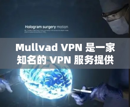 Mullvad VPN 是一家知名的 VPN 服务提供商，以其高安全性和稳定性而闻名。为了测试 Mullvad VPN 的线路稳定性，你可以按照以下步骤进行测试
