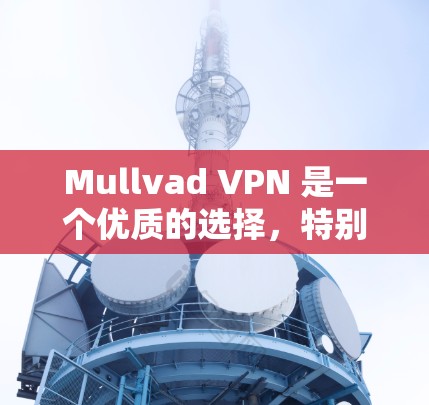 Mullvad VPN 是一个优质的选择，特别适合注重隐私和速度的用户。以下是对其的详细分析和总结