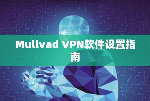 Mullvad VPN软件设置指南