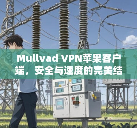 Mullvad VPN苹果客户端，安全与速度的完美结合