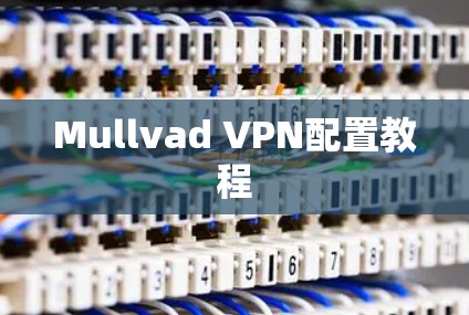 Mullvad VPN配置教程 Mullvad VPN配置教程