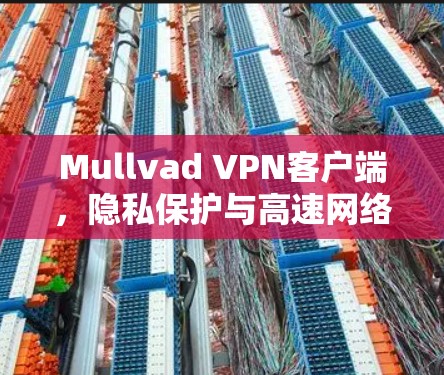 Mullvad VPN客户端,隐私保护与高速网络的完美结合 Mullvad VPN客户端,隐私保护与高速网络的完美结合