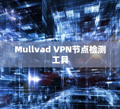 Mullvad VPN节点检测工具