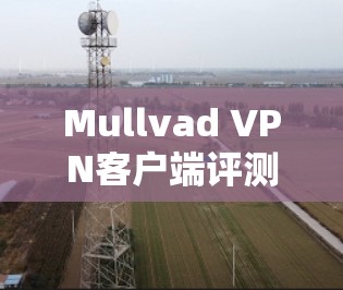 Mullvad VPN客户端评测，用户体验与功能深度分析
