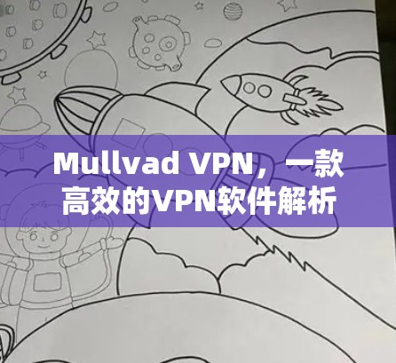 Mullvad VPN,一款高效的VPN软件解析 Mullvad VPN,一款高效的VPN软件解析