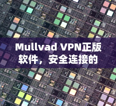 Mullvad VPN正版软件,安全连接的智能选择 Mullvad VPN正版软件,安全连接的智能选择