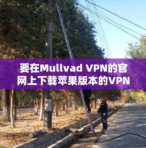 要在Mullvad VPN的官网上下载苹果版本的VPN客户端，请按照以下步骤操作