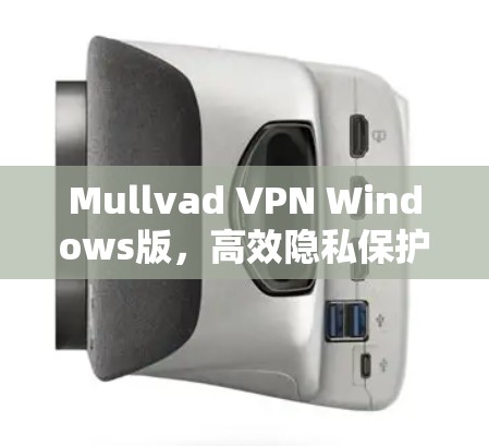 Mullvad VPN Windows版，高效隐私保护解决方案