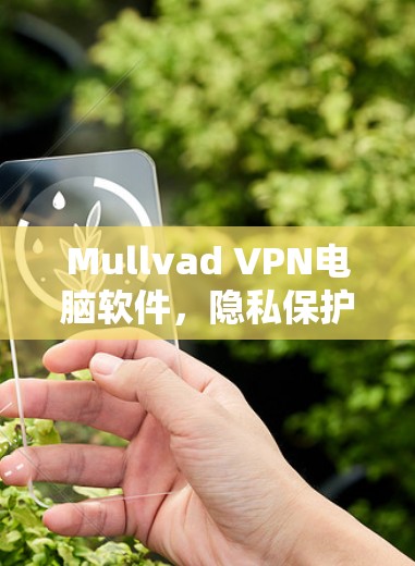 Mullvad VPN电脑软件，隐私保护与安全的卓越选择