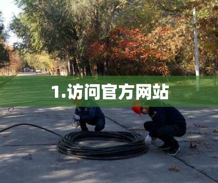 1.访问官方网站