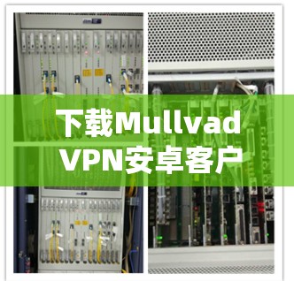 下载Mullvad VPN安卓客户端的步骤如下