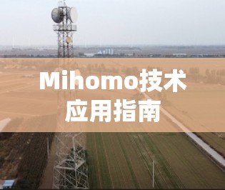 Mihomo技术应用指南