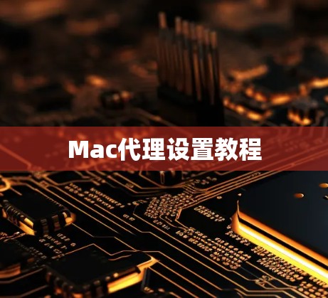 Mac代理设置教程