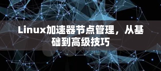 Linux加速器节点管理,从基础到高级技巧 Linux加速器节点管理,从基础到高级技巧