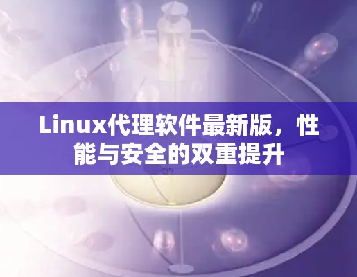 Linux代理软件最新版,性能与安全的双重提升 Linux代理软件最新版,性能与安全的双重提升