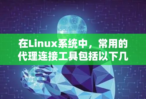 在Linux系统中，常用的代理连接工具包括以下几种