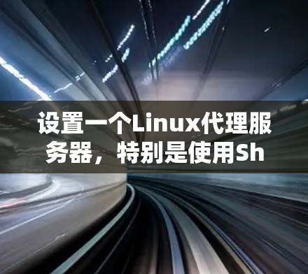 设置一个Linux代理服务器，特别是使用Shadowsocks或ShadowsocksR来加密流量，可以按照以下步骤进行