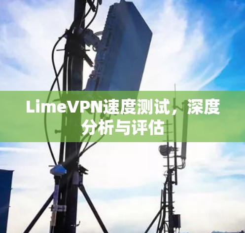 LimeVPN速度测试，深度分析与评估
