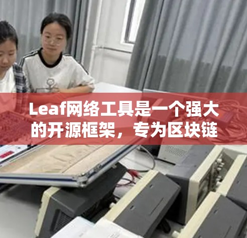 Leaf网络工具是一个强大的开源框架，专为区块链开发者设计，提供全面的功能来构建和管理区块链网络应用。以下是对Leaf网络工具的详细总结，帮助您快速理解其功能和应用场景