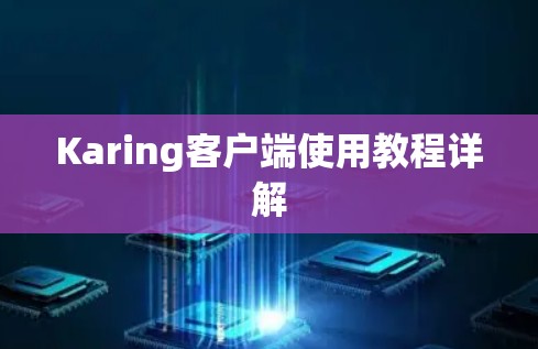 Karing客户端使用教程详解