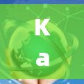 Karing代理规则概述