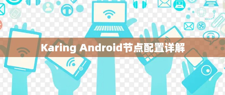 Karing Android节点配置详解 Karing Android节点配置详解