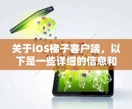 关于iOS梯子客户端，以下是一些详细的信息和建议