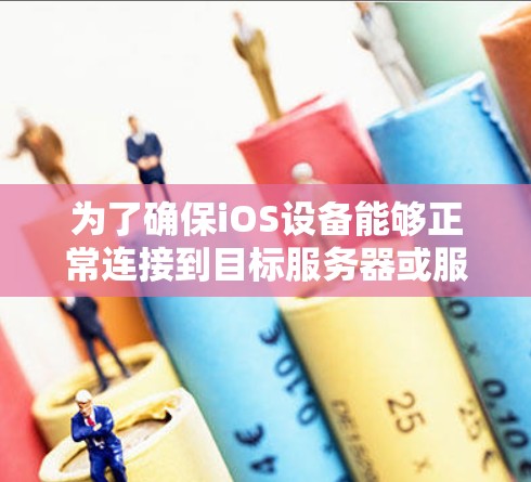 为了确保iOS设备能够正常连接到目标服务器或服务，执行连接测试是关键步骤。以下是详细的步骤说明