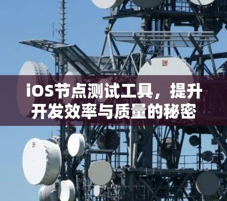 iOS节点测试工具,提升开发效率与质量的秘密武器 iOS节点测试工具,提升开发效率与质量的秘密武器