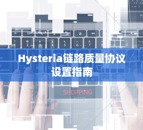 Hysteria链路质量协议设置指南 Hysteria链路质量协议设置指南