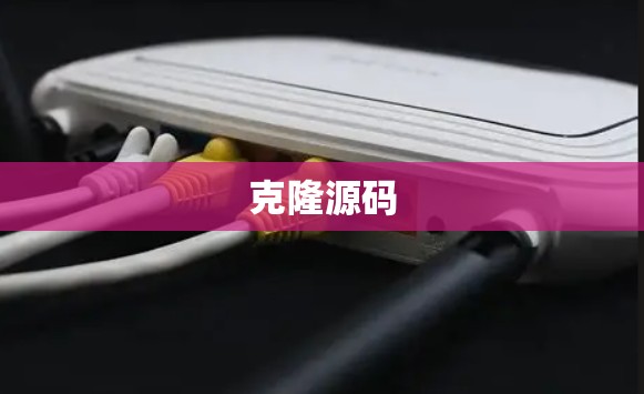 克隆源码