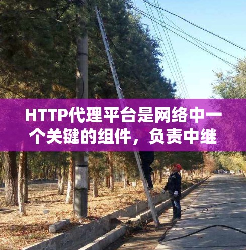 HTTP代理平台是网络中一个关键的组件,负责中继和转发HTTP请求,帮助实现网络安全、负载均衡、内容分发等功能。以下是对HTTP代理平台的详细分析和总结 HTTP代理平台是网络中一个关键的组件,负责中继和转发HTTP请求,帮助实现网络安全、负载均衡、内容分发等功能。以下是对HTTP代理平台的详细分析和总结
