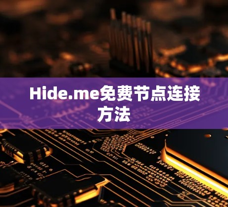Hide.me免费节点连接方法