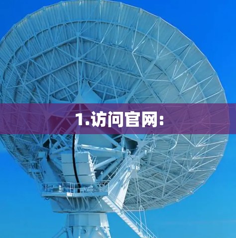 1.访问官网: