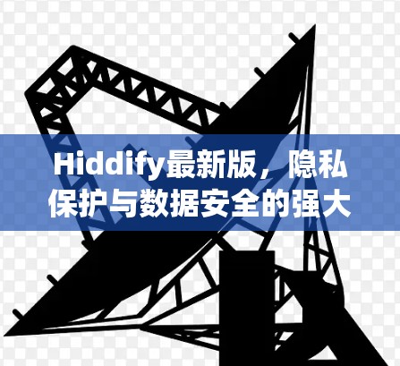 Hiddify最新版，隐私保护与数据安全的强大助力