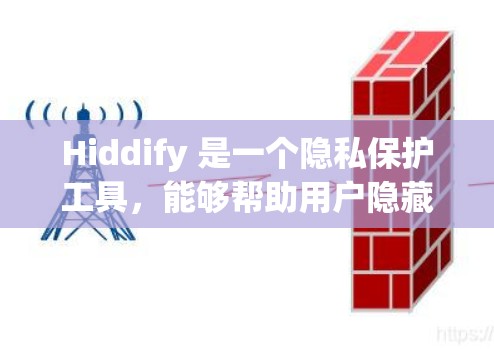 Hiddify 是一个隐私保护工具，能够帮助用户隐藏文件、应用和其他隐私信息。以下是使用 Hiddify 的基本教程