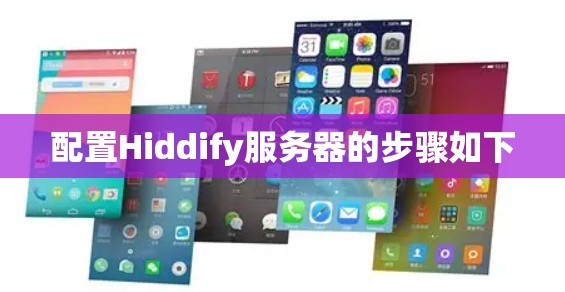 配置Hiddify服务器的步骤如下
