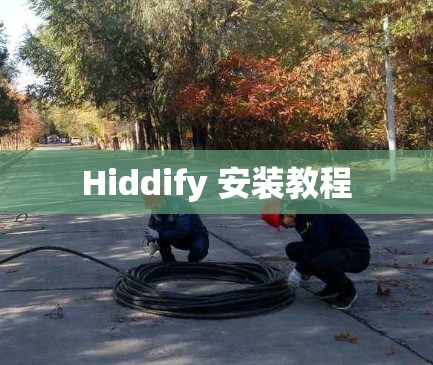 Hiddify 安装教程 Hiddify 安装教程