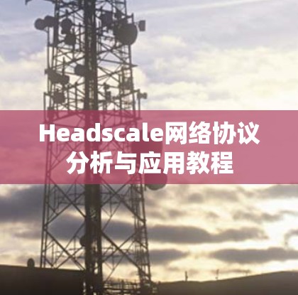 Headscale网络协议分析与应用教程