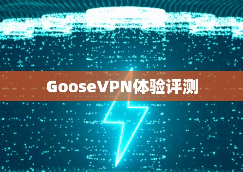 GooseVPN体验评测