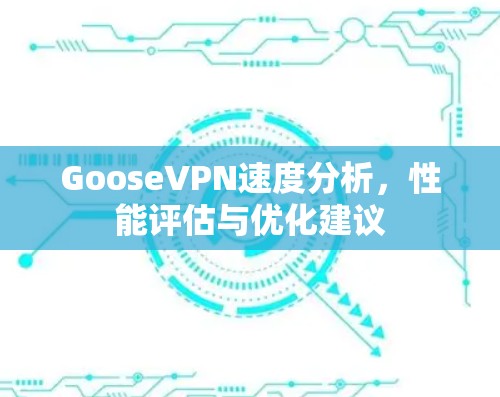 GooseVPN速度分析，性能评估与优化建议