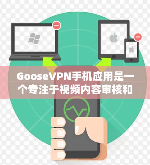 GooseVPN手机应用是一个专注于视频内容审核和剪辑处理的工具，而不是传统意义上的VPN服务。以下是对它功能的详细分析