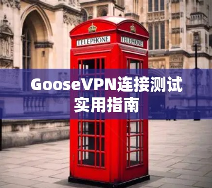GooseVPN连接测试实用指南
